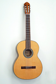 Классическая гитара 4/4 AC100-SG, глянцевая 
