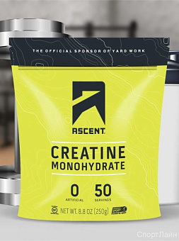 Creatine Monohydrate Ascent 250гр. купить в Батайсе - цены в интернет-магазине спортивного питания "Медведь"