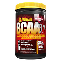 BCAA 348gr 12.3унций (тропический манго,)