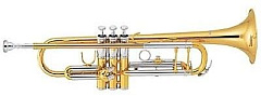 Труба Sebastian STR-430G