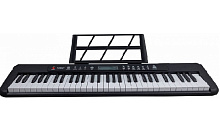 Синтезатор TK-500 BK, 61 клавиша, акт.клав. микрофон. цвет черный DNT-74269 
